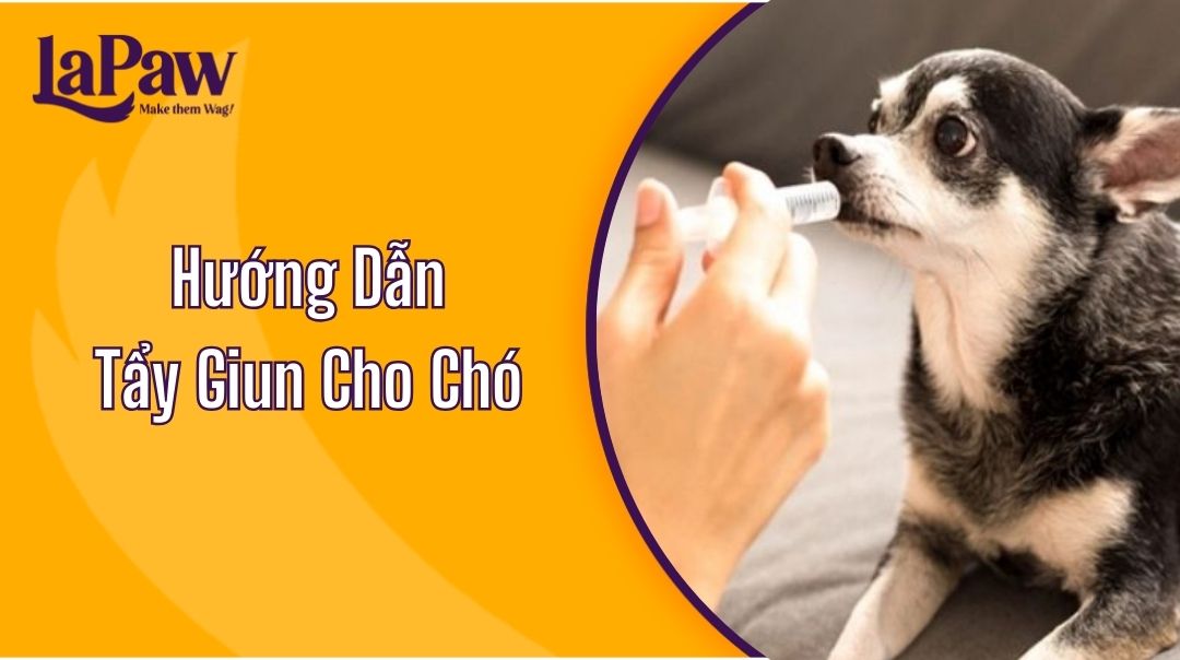 Hướng Dẫn Tẩy Giun Cho Chó