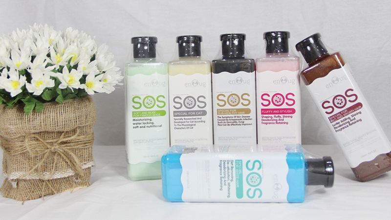 Top 5 Loại Sữa Tắm Cho Mèo Tốt Nhất