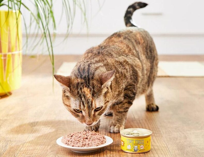 Pate Cho Mèo Mua Sẵn – Tiện Lợi Nhưng Có Nhược Điểm