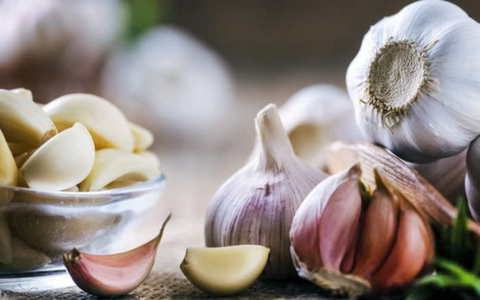 Những Loại Rau Củ Cần Tránh chó mèo
