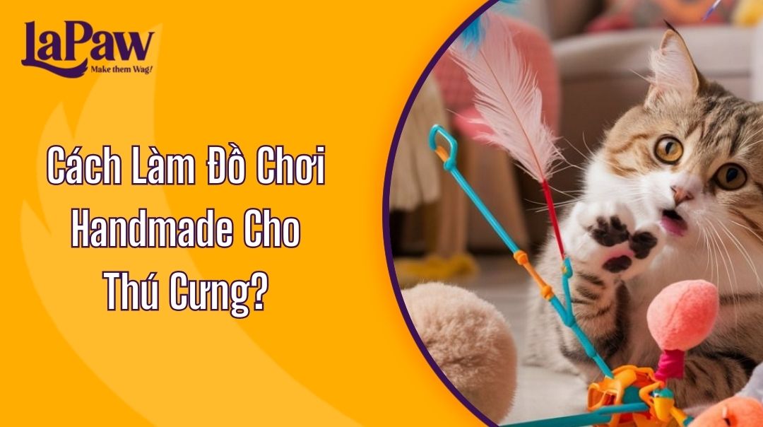 Cách Làm Đồ Chơi Handmade Cho Thú Cưng?