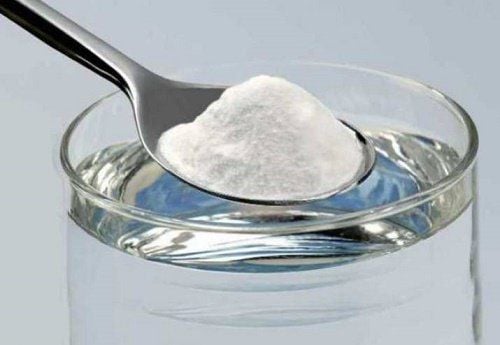 Cách pha nước điện giải cho chó tại nhà
