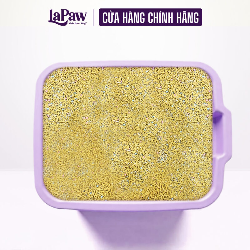 Nắng ban mai 