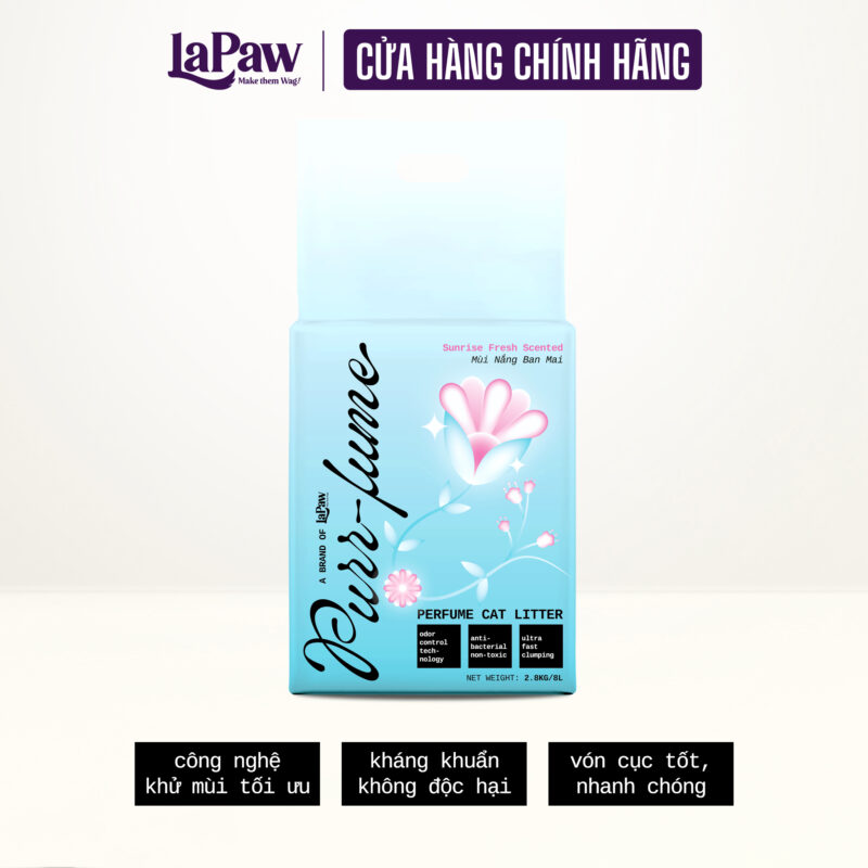 Nắng ban mai – Tươi sáng, sạch sẽ