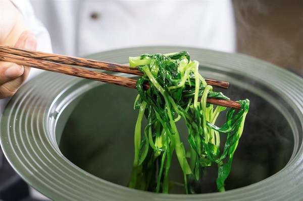 Chó ăn rau muống được không?