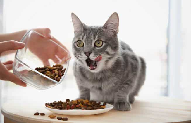 Gợi ý các dòng hạt tốt, hỗ trợ tiêu hóa và tiết niệu