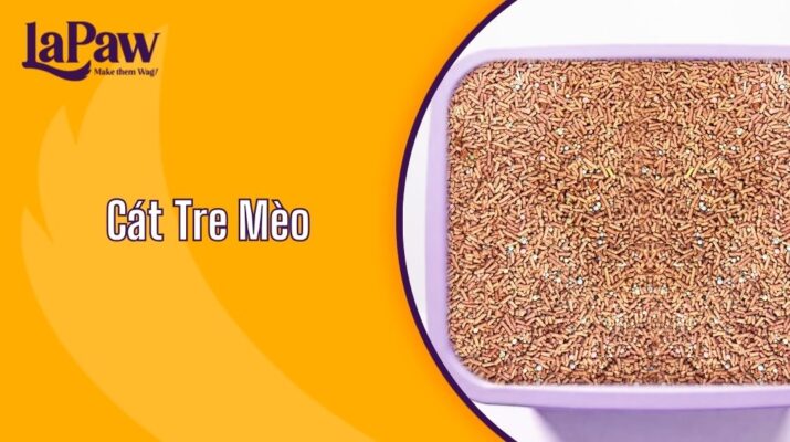 Cát Tre Mèo