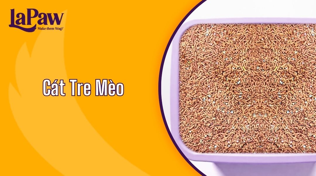Cát Tre Mèo