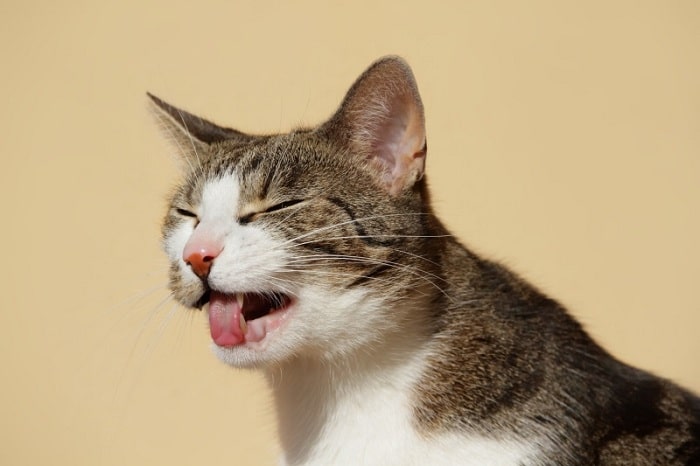 Dấu hiệu đi kèm cần chú ý