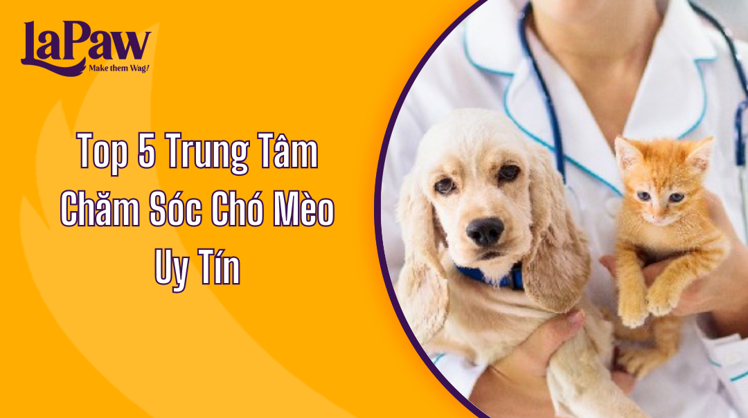 trung tâm chăm sóc chó mèo