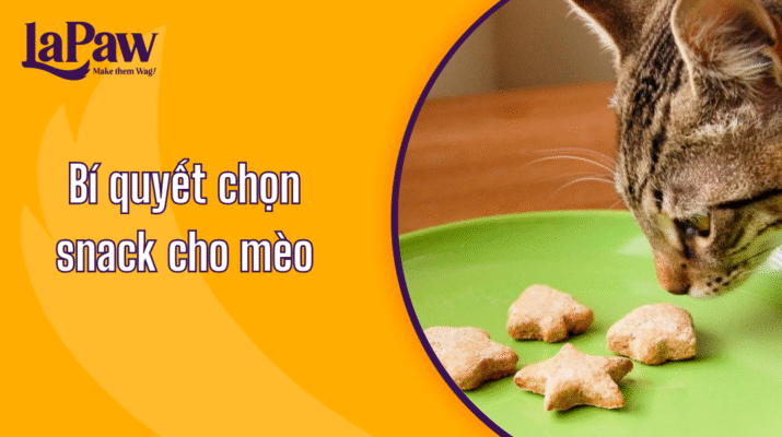 Snack cho mèo
