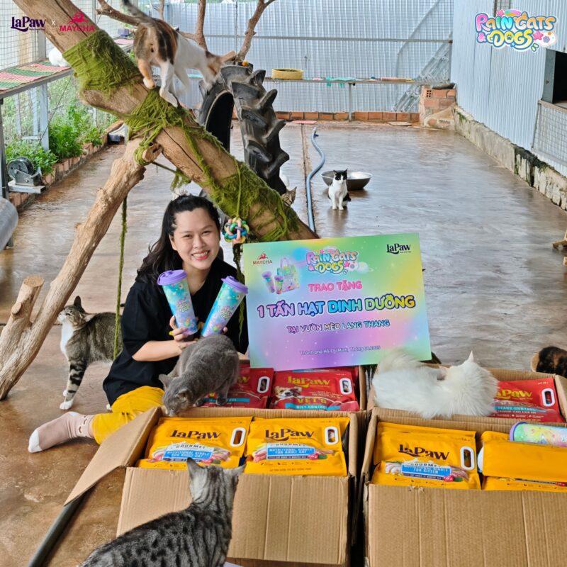 Lapaw ủng hộ trạm cứu hộ Vườn Mèo Lang Thang