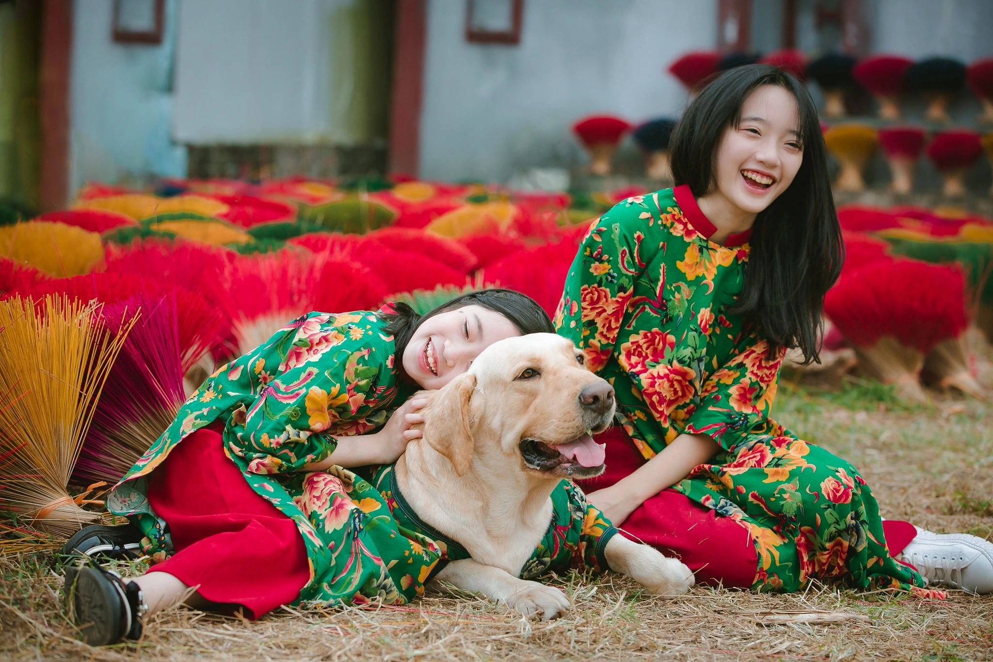 Chụp ảnh siêu xinh cho thú cưng ngày Tết