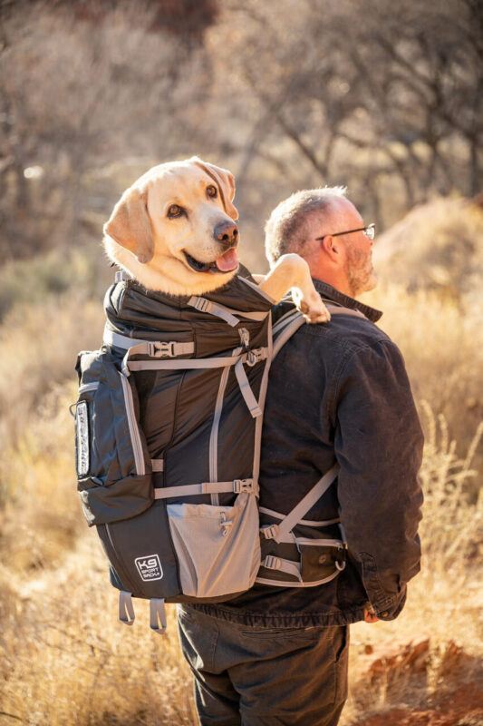 Túi đựng chó 10kg