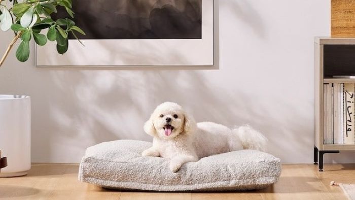 Bố trí không gian sinh hoạt thoáng mát để các bé luôn thơm tho, thoải mái