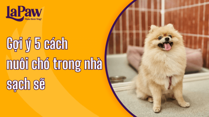 Cách nuôi chó trong nhà sạch sẽ