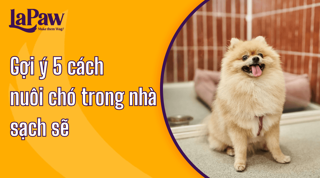 Cách nuôi chó trong nhà sạch sẽ