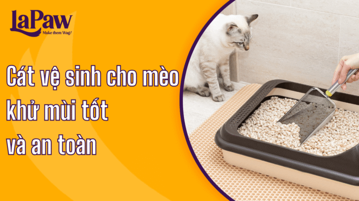 Cát vệ sinh cho mèo khử mùi tốt