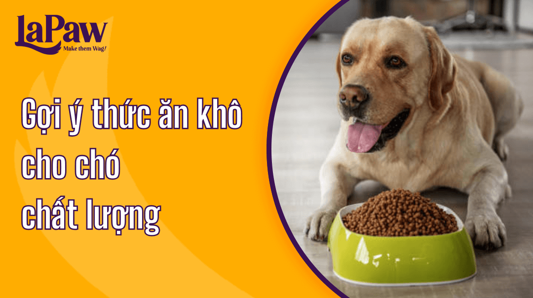 Top 5 thức ăn khô cho chó trưởng thành