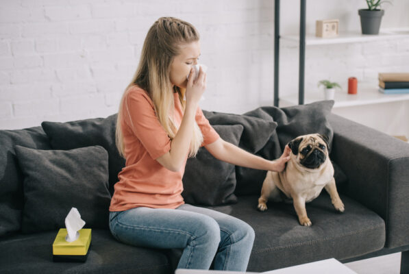 Gợi ý các cách khử mùi hôi của chó trong nhà 