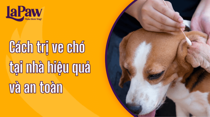 Cách trị ve chó