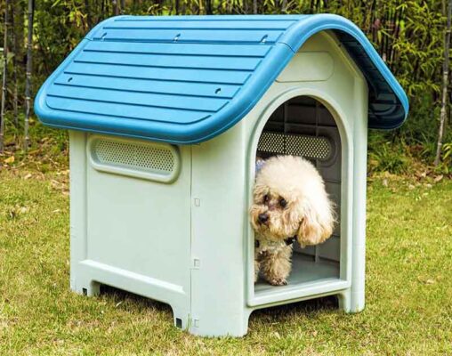 Chuồng chó bằng nhựa có thể linh hoạt di chuyển để đặt ở nhiều vị trí