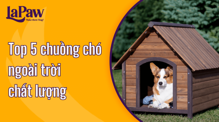 Mẫu chuồng chó ngoài trời