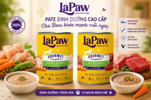 Pate cho chó LaPaw Gourmet hỗ trợ giai đoạn phục hồi sau Parvo
