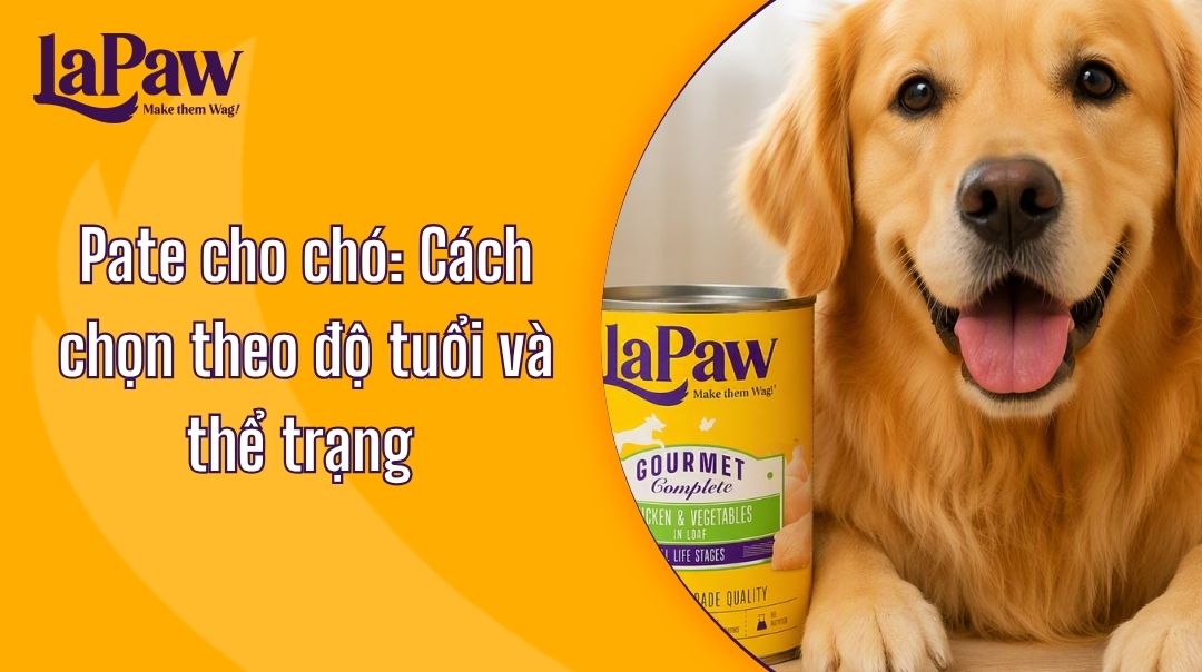 Pate cho chó: Cách chọn theo độ tuổi và thể trạng