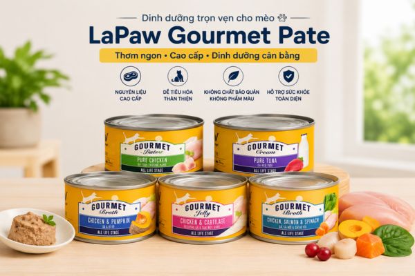 Pate LaPaw Gourmet giúp mèo ăn uống dễ dàng hơn