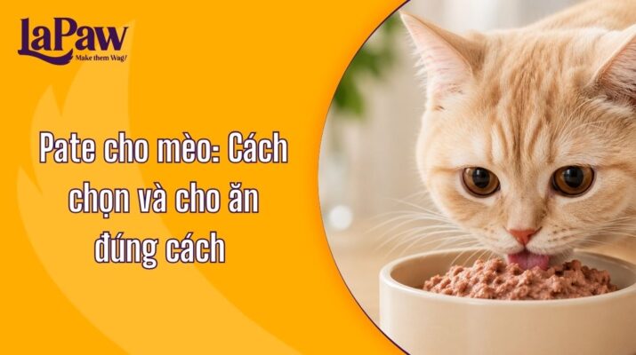 Pate cho mèo phù hợp cho mèo con và mèo trưởng thành
