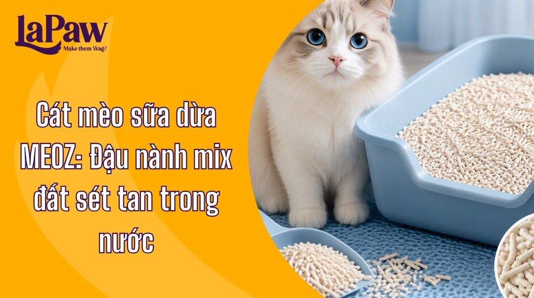 Cát mèo sữa dừa đậu nành mix đất sét tan trong nước